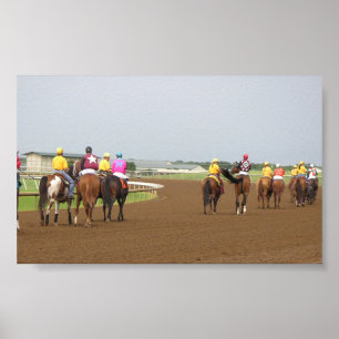 Póster Serie LSP (1)