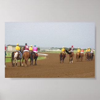 Póster Serie LSP (1)