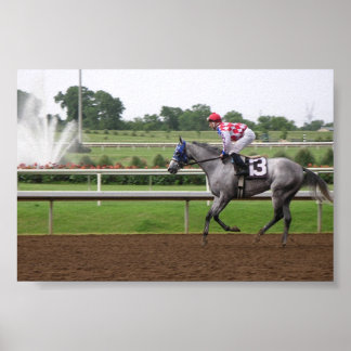 Póster Serie LSP (2)