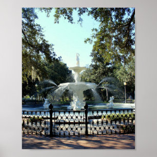 Póster Serie Savannah: Fuente
