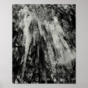 Póster Serie Savannah: Moss españoles