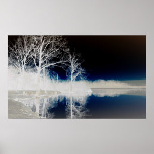 Póster Serie temporal silenciosa