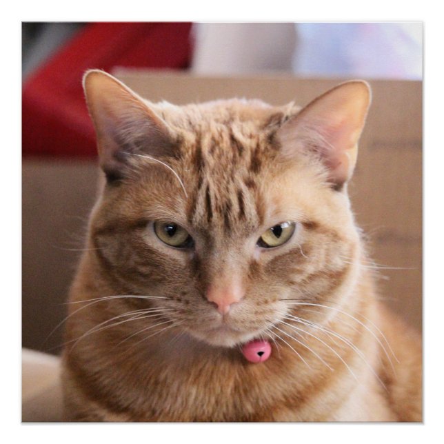 Póster Serio (Anverso)