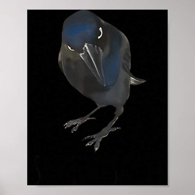 Póster Seriously Funny Crow Sarcastic Quote  (Frente)