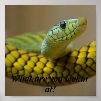 Póster Serpiente