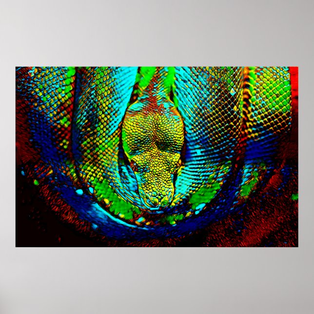 Póster Serpiente arcoiris (Frente)