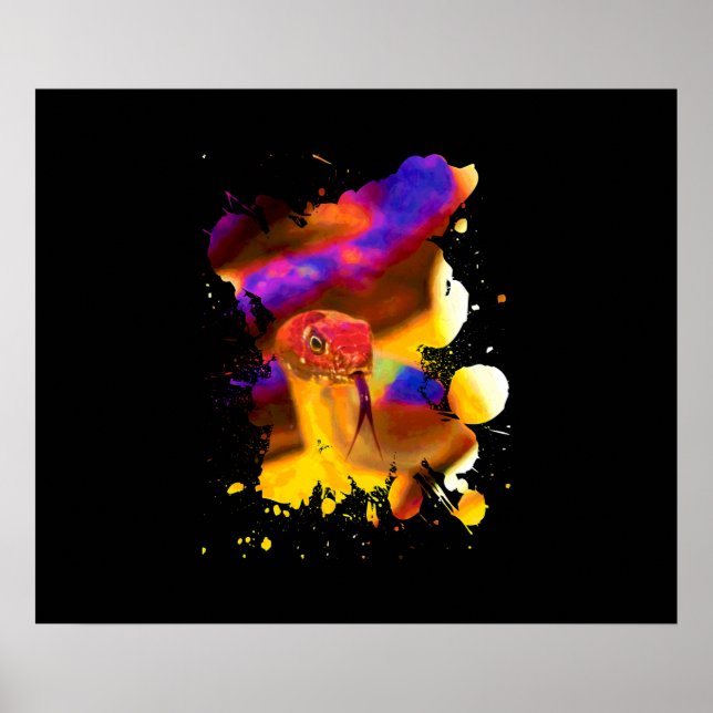 Póster Serpiente colorida (Frente)