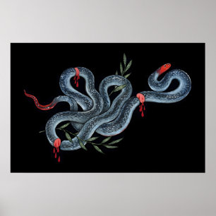 Póster Serpiente Coral Azul 5x7 pulgadas a 8x10 pulgadas 