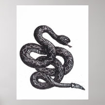 Serpiente Crotalus Cascavella (Víbora de Fosa Vene
