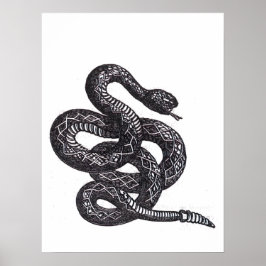 Póster Serpiente Crotalus Cascavella (Víbora de Fosa Vene