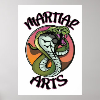 Póster Serpiente de artes marciales
