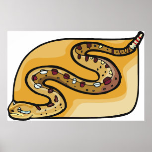 Póster Serpiente de cascabel enroscada Desierto del suroe