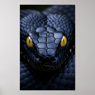 Póster Serpiente Negra