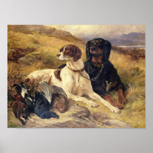 Póster Servicio de los armas