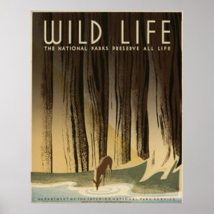 Póster Servicio de Parque Nacional Wild Life Vintage 1940