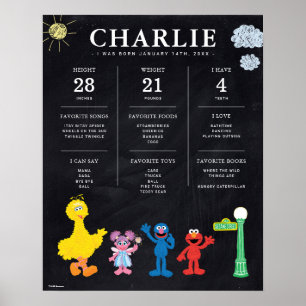Póster Sesame Street 1st Birthday Milestone