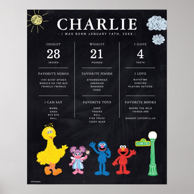 Póster Sesame Street | 1st Birthday Milestone  (Frente)