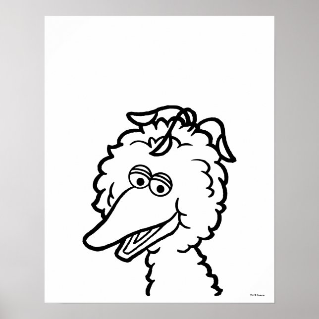 Póster Sesame Street | Bird Bird (Frente)