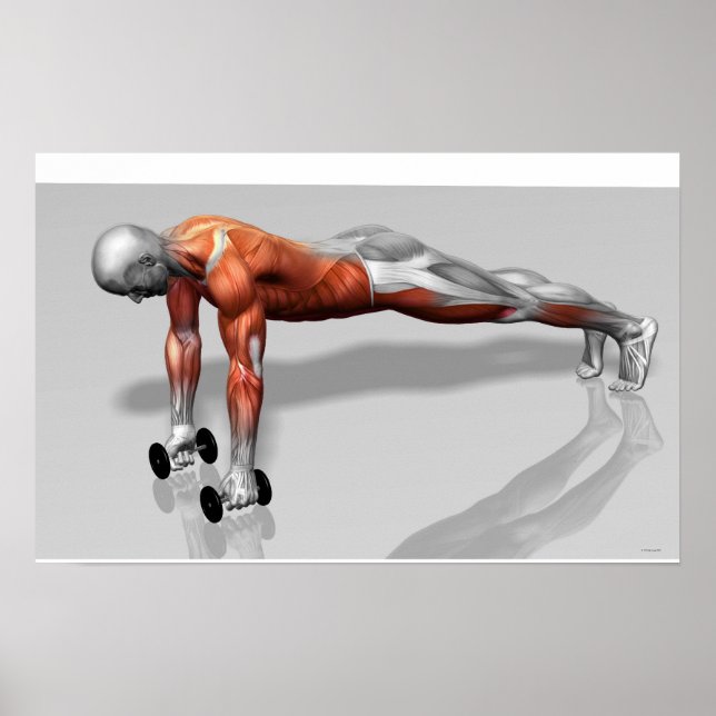 Póster Setanta Empuja 4 (Frente)