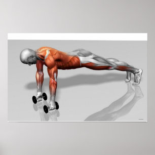 Póster Setanta empuja hacia arriba 4