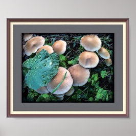 Póster Setas En Poster De Grasa