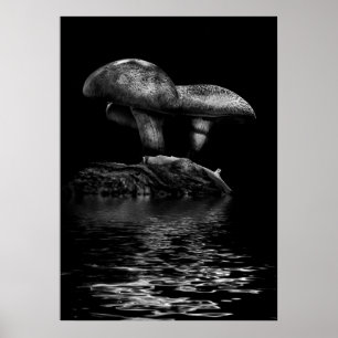 Póster Setas en un reflejo de sendero n.º 5