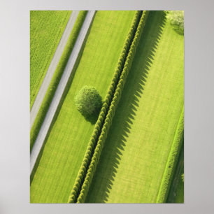 Póster Seto en el Hamptons