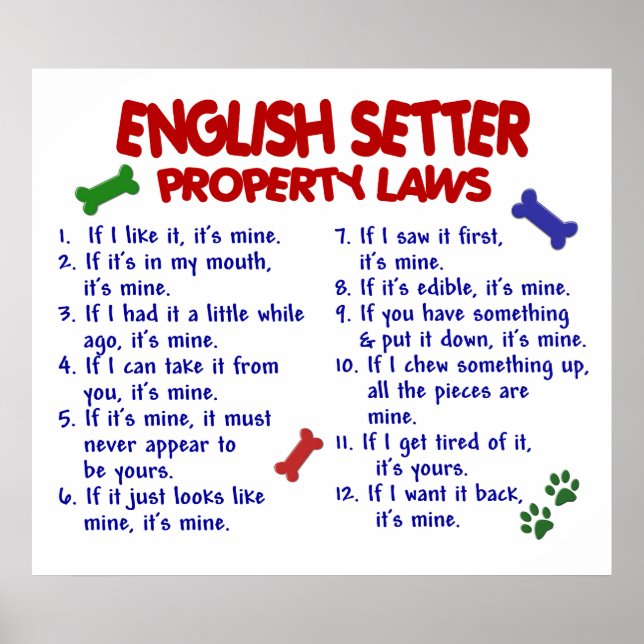 PÓSTER SETTER INGLÉS PL2 (Frente)