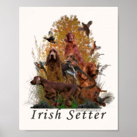 Setter Irlandés 