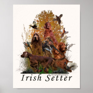 Póster Setter Irlandés 