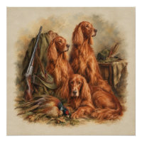 Setter Irlandés ,Arte
