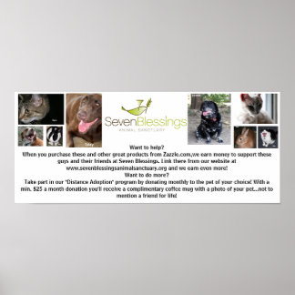 Póster sevenblessings.org