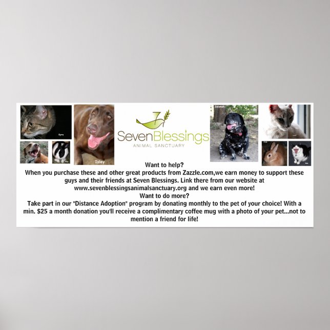 Póster sevenblessings.org (Frente)