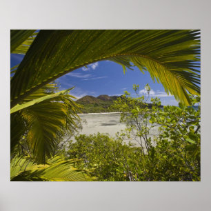 Póster Seychelles, Isla Curieuse, Bahía Laraie