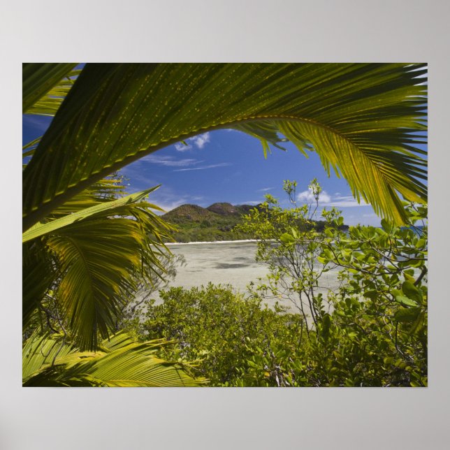Póster Seychelles, Isla Curieuse, Bahía Laraie (Frente)