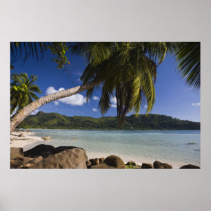 Póster Seychelles, Isla de Mahe, Anse a la Mouche