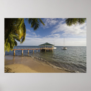 Póster Seychelles, Isla de Praslin, Anse Bois de Rose,
