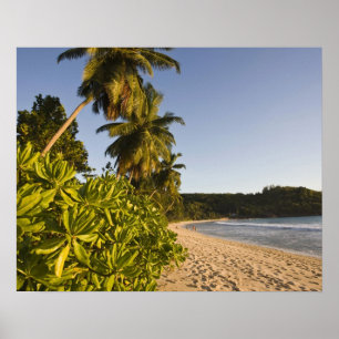 Póster Seychelles, isla Mahe, playa de Anse Takamaka,