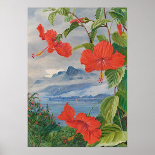 Póster Seychelles por Marianne North - Paisaje exótico