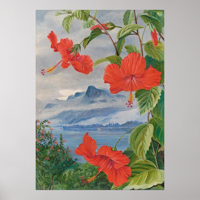 Póster Seychelles por Marianne North - Paisaje exótico (Frente)