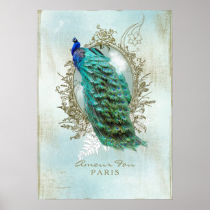 Póster Shabby Peacock turquesa - Poster