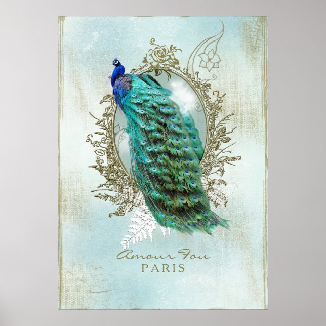 Póster Shabby Peacock turquesa - Poster (Frente)
