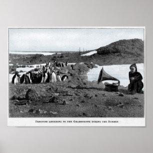 Póster Shackleton en gramófono antártico con pingüinos