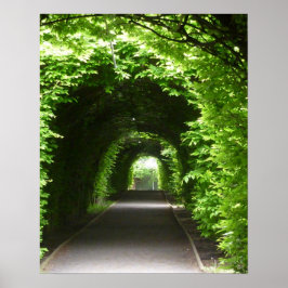 Póster Shaded Botanic Garden Arbor