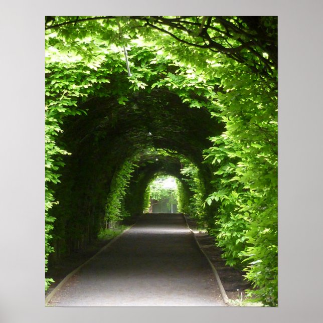 Póster Shaded Botanic Garden Arbor (Frente)