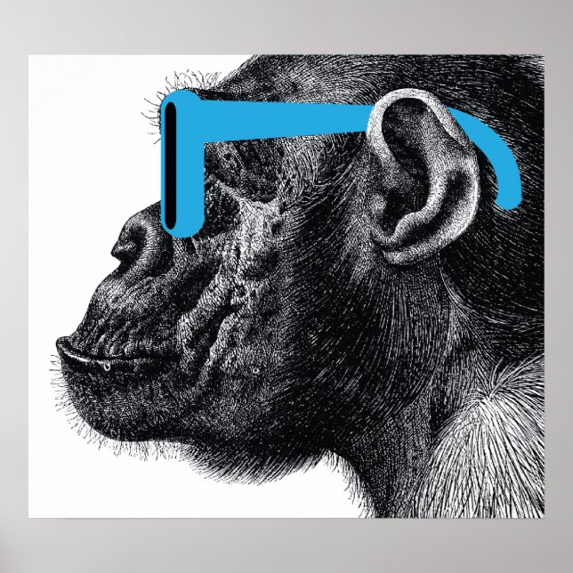 Póster Shades Funny Poster (Frente)