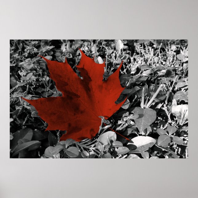 Póster shades of autumn (Frente)