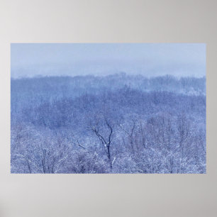 Póster Shades of Blue