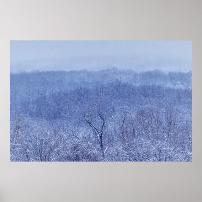 Póster Shades of Blue (Frente)