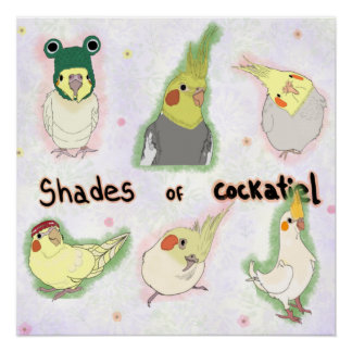 Póster Shades of Cockatiel